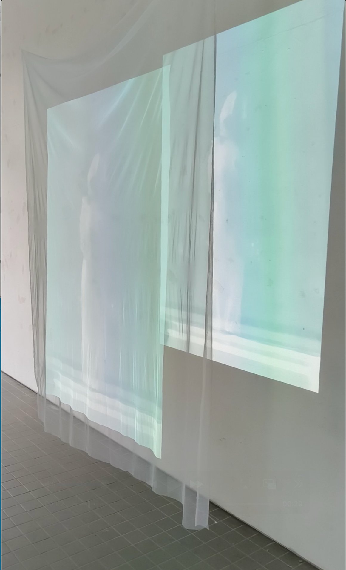 Becoming — projection on mesh fabric
