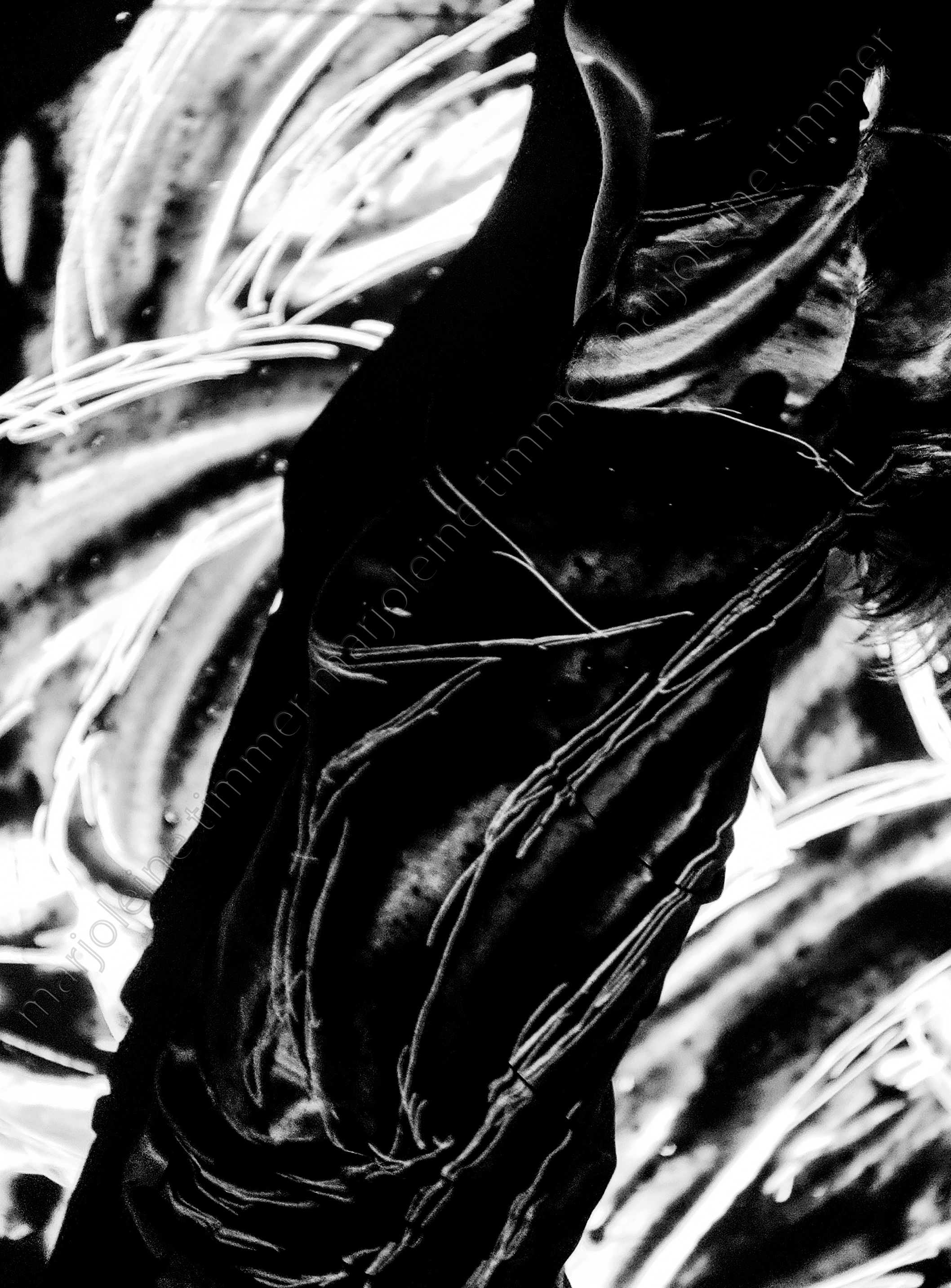 Slides on body — Indian ink scratch slide on body, no. 2