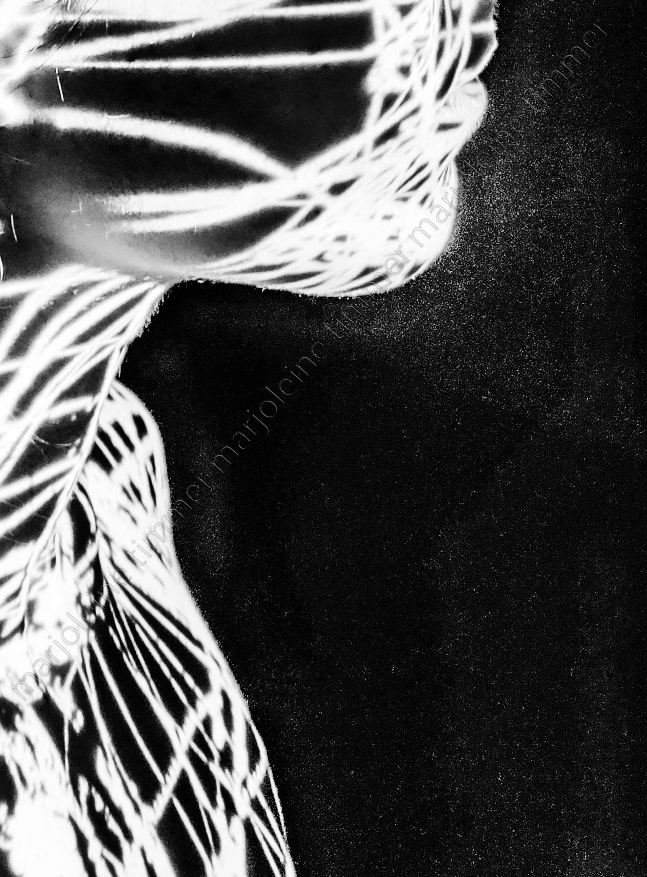 Slides on body — photography by Marjoleine Timmer